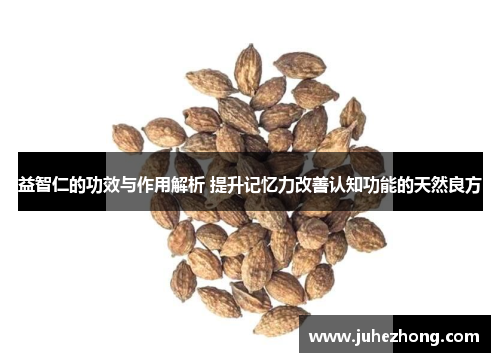 益智仁的功效与作用解析 提升记忆力改善认知功能的天然良方