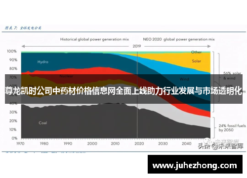 尊龙凯时公司中药材价格信息网全面上线助力行业发展与市场透明化